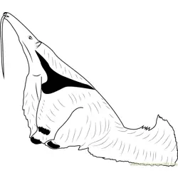 Anteater Searching Ants Free Coloring Page for Kids