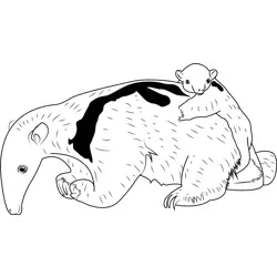 Baby Anteater with her Mother Free Coloring Page for Kids