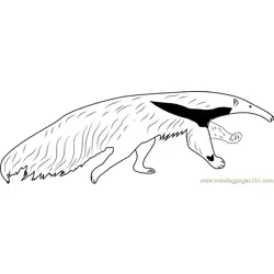 Giant Anteater Running Free Coloring Page for Kids