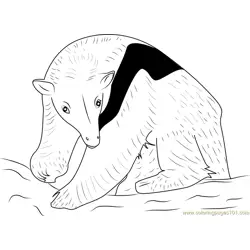 Northern Tamandua Anteater Free Coloring Page for Kids