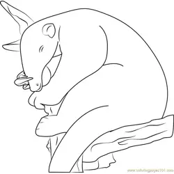 Sleeping Anteater Free Coloring Page for Kids