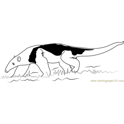 Southern Anteater Free Coloring Page for Kids