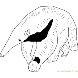 Young Giant Anteater Free Coloring Page for Kids