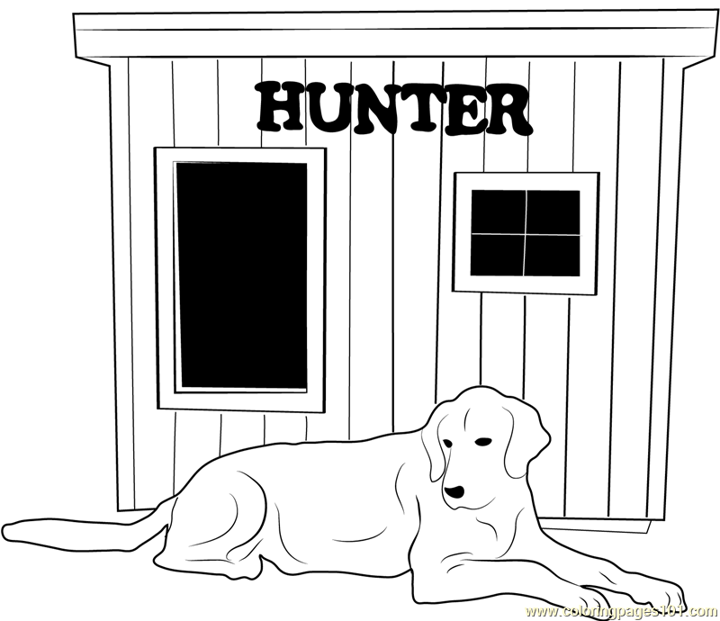 Dog House Hunter