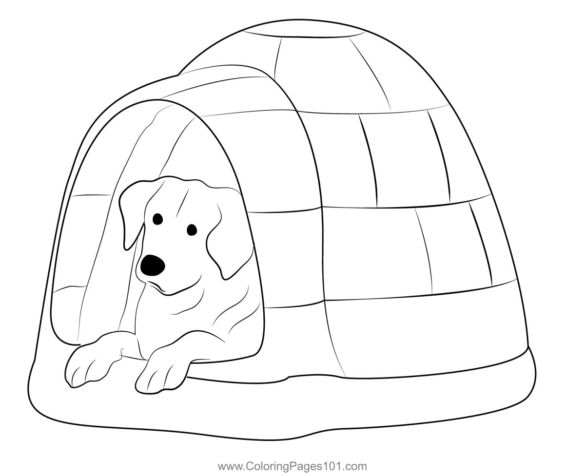 Igloo Dog House