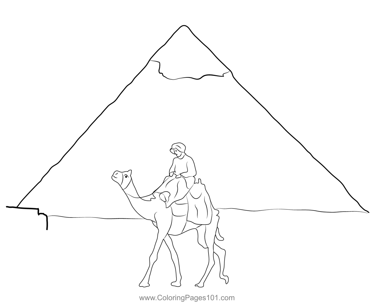 Camel In Front Of Pyramid