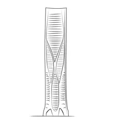Skyscraper 16 Free Coloring Page for Kids