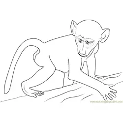 African Baby Baboon Free Coloring Page for Kids