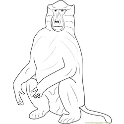 Baboons Free Coloring Page for Kids