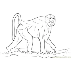 Walking Baboon Free Coloring Page for Kids