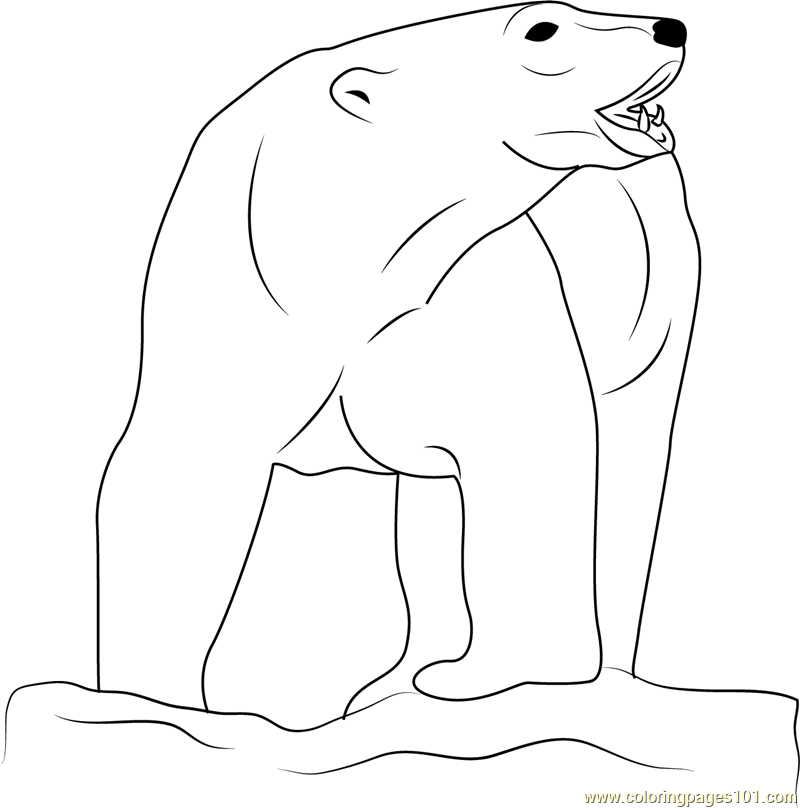 Angry Polar Bear