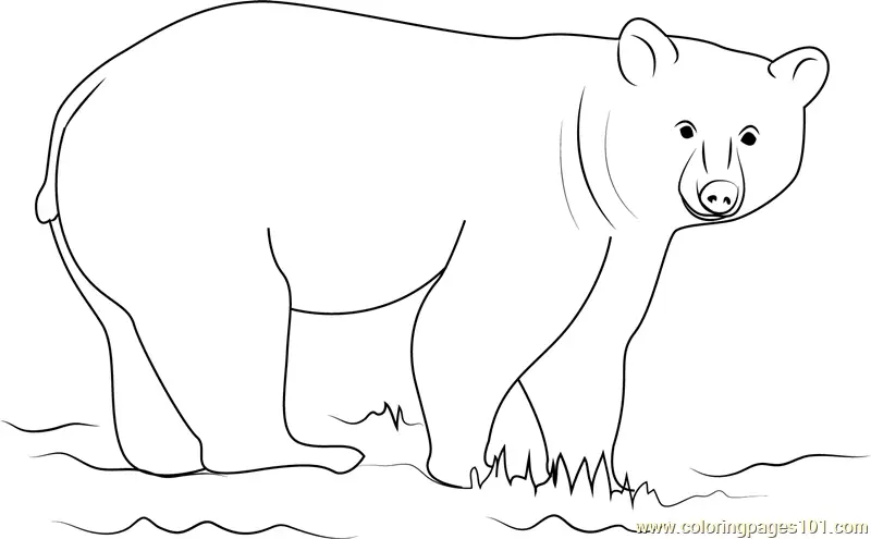 Black Bear Looking at You Coloring Page for Kids - Free Bear Printable ...