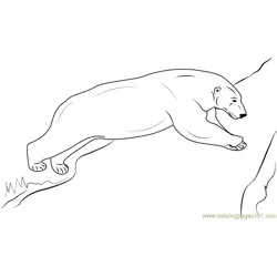 Jumping Polar Bear Free Coloring Page for Kids