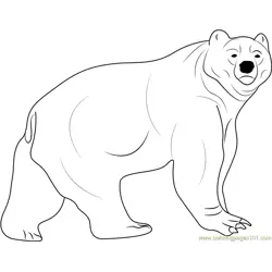 Kodiak Bear Free Coloring Page for Kids