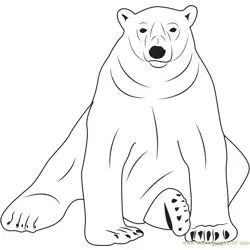 Sloth Bear Free Coloring Page for Kids