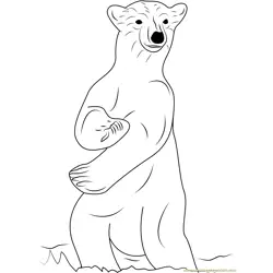 Standing Polar Bear Free Coloring Page for Kids