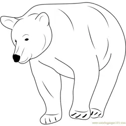 Ursidae Free Coloring Page for Kids