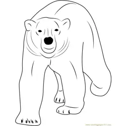 Walking Polar Bear Free Coloring Page for Kids