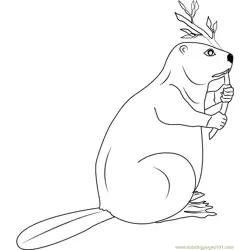 Canadian Beaver Free Coloring Page for Kids