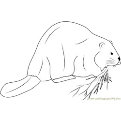 Giant Beaver Free Coloring Page for Kids