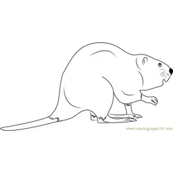 Rodent Beaver Free Coloring Page for Kids
