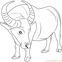 Buffalo Free Coloring Page for Kids