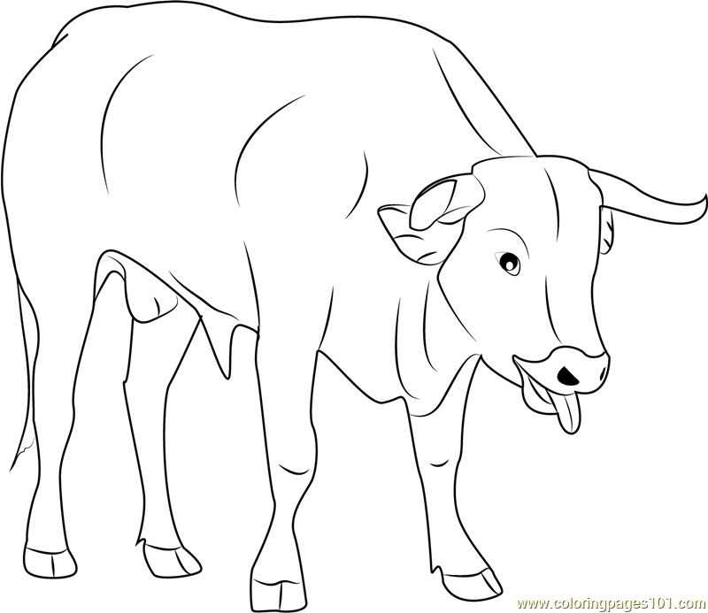 Cute Bull Coloring Page - Free Bull Coloring Pages : ColoringPages101.com