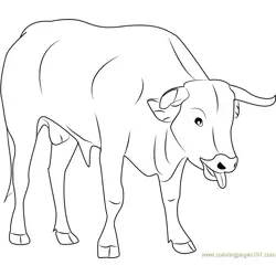 Cute Bull Free Coloring Page for Kids