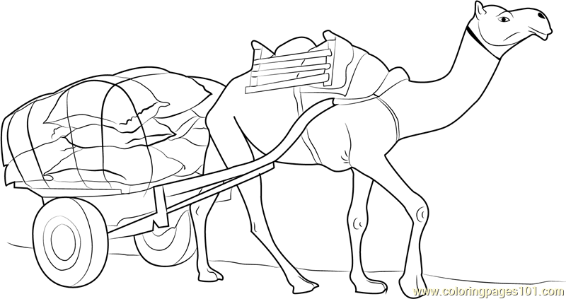 Working Camel Coloring Page for Kids - Free Camel Printable Coloring