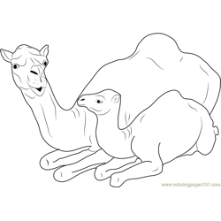 Baby and Mother Camel Sitting Free Coloring Page for Kids