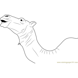 Camel Calling Free Coloring Page for Kids