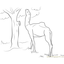 Camel Looking Up Free Coloring Page for Kids