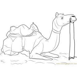 Camel Safari Free Coloring Page for Kids