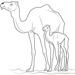 Camel with Kid Free Coloring Page for Kids