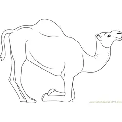Kneeling Camel Free Coloring Page for Kids