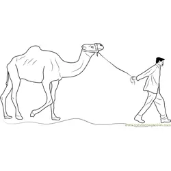 Man Leading Camel Free Coloring Page for Kids