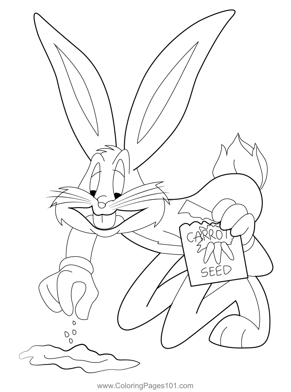 Bugs Bunny Carrot Seedlings