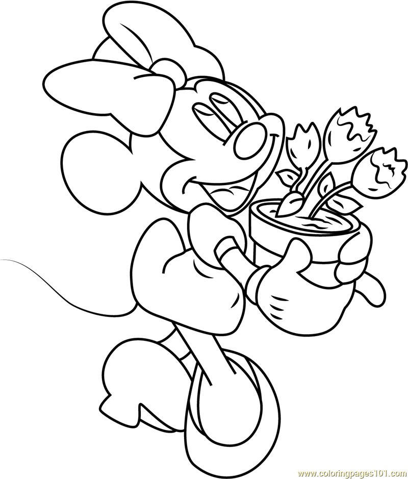 Minnie Mouse Pot Plant