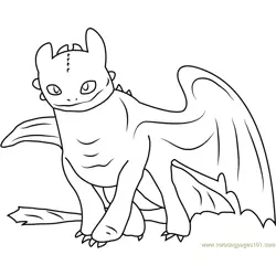 Toothless Free Coloring Page for Kids