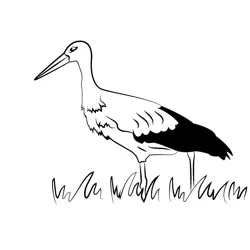 White Stork Bird Free Coloring Page for Kids