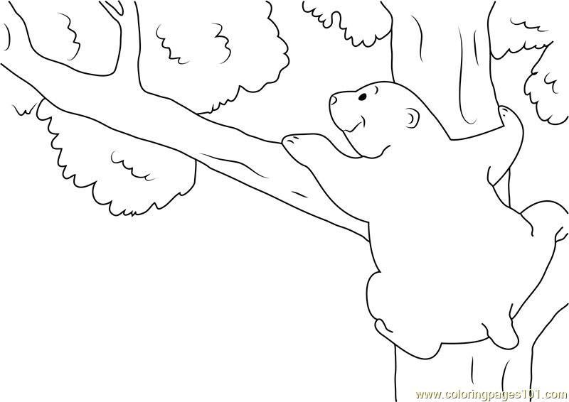 Bear on Tree