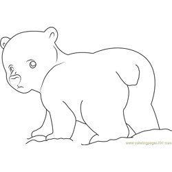 Little Polar Bear Looking Back Free Coloring Page for Kids