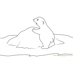 Little Polar Bear Looking Up Free Coloring Page for Kids