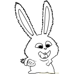 Snowball with Key Carrot Coloring Page for Kids - Free The Secret Life ...