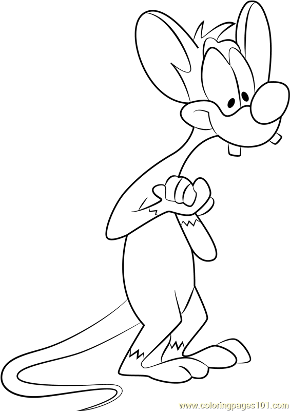 Pinky Coloring Page for Kids - Free Animaniacs Printable Coloring Pages