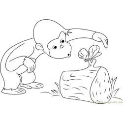 Curious George Catch Butterfly Free Coloring Page for Kids