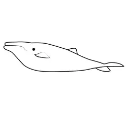 An Albino Humpback Whale Octonauts Free Coloring Page for Kids