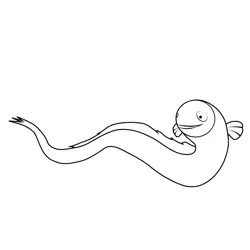 An Eel Octonauts