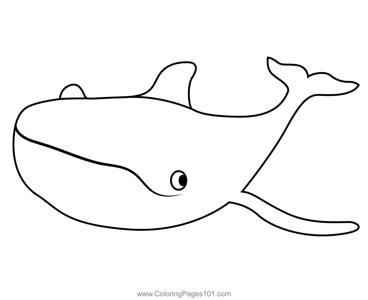 Gray Whale Octonauts