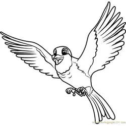 Robin Free Coloring Page for Kids